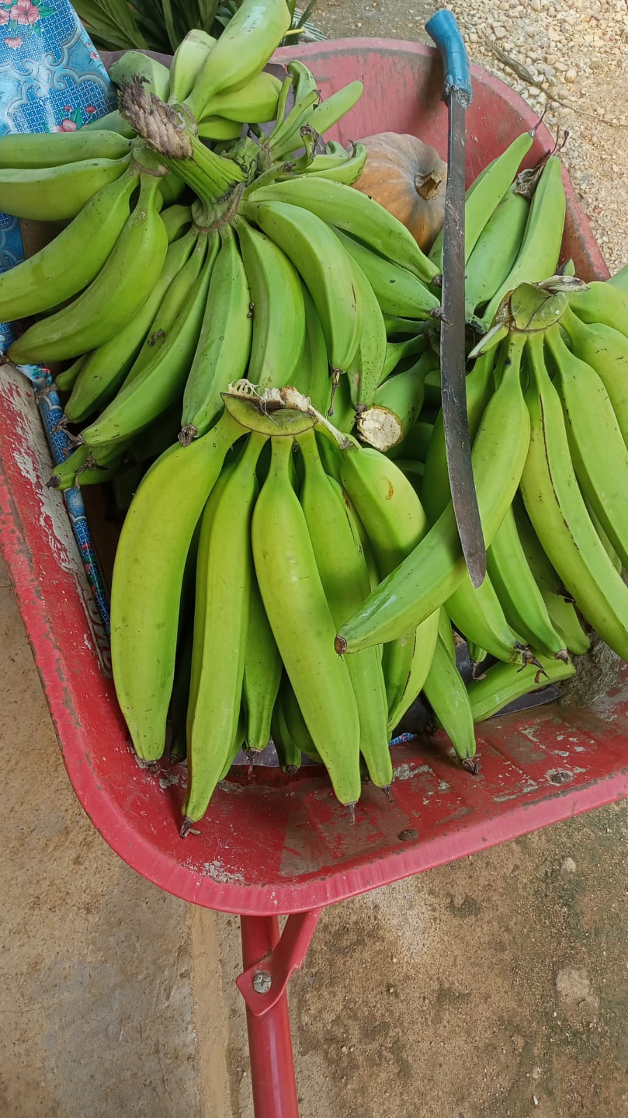 Gotong royong lingkungan